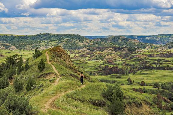 Theodore Roosevelt National Park