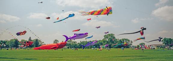 Kite Fest in Jamestown