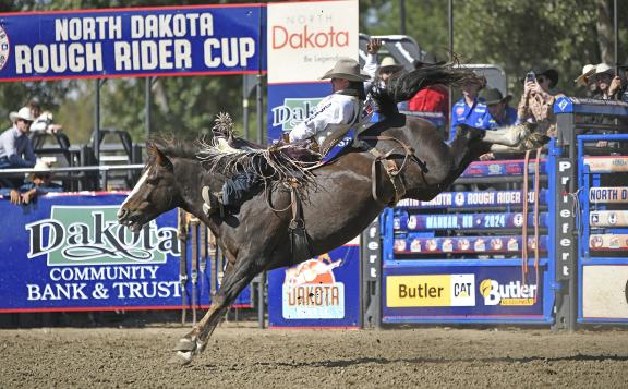 Riding horse in rodeo competition