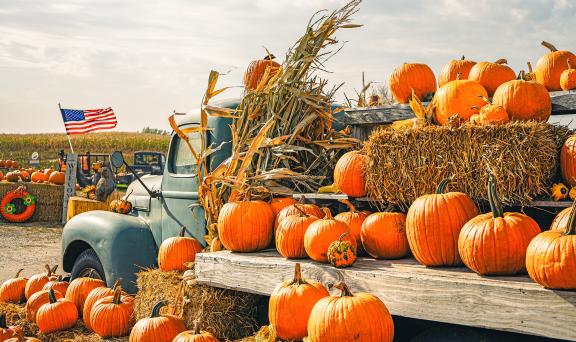 A-Maze-N' Clowns Pumpkin Patch