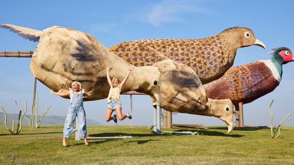 Tigirlily Gold at the Enchanted Highway