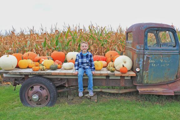Berry Acres Pumpkin Patch