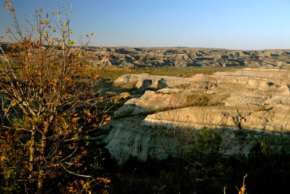 A panoramic view of a rocky, semi-arid landscape with sparse vegetation and scattered trees under a clear blue sky