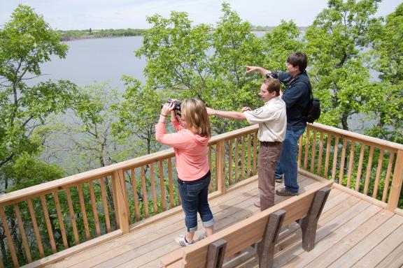 Wildlife viewing