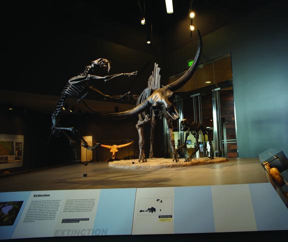 Display at State Museum at North Dakota Heritage Center