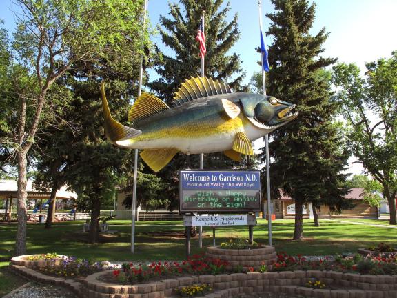 Garrison's walleye