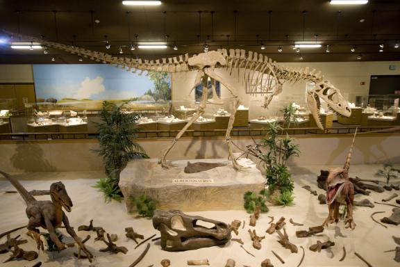 Dinosaur display