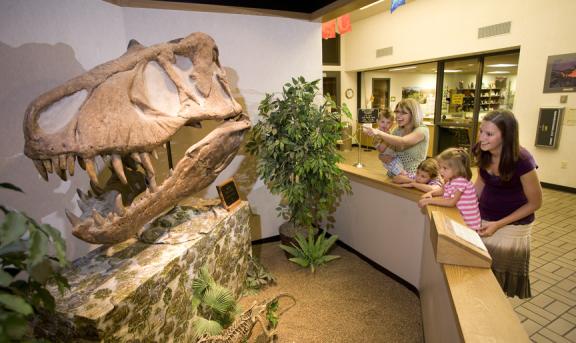 museum display