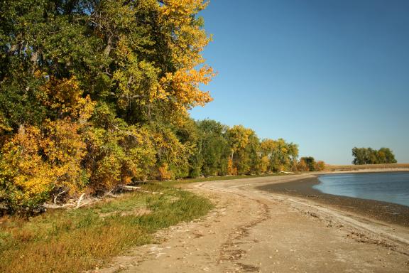 A serene lakeside scene with a sandy shore, bordered by trees with green and yellow leaves, under a bright blue sky