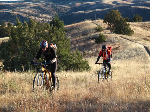 Two people are bicycling through a grassy field