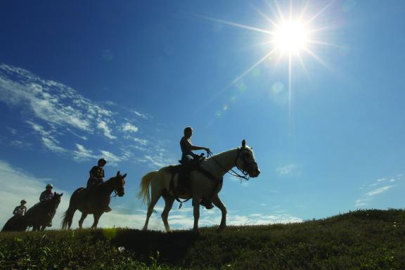 Horseback riding is found throughout the state of North Dakota.