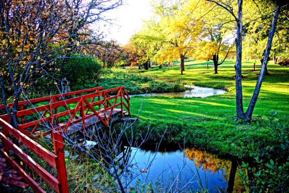 A vibrant park scene with a red footbridge crossing over a small creek