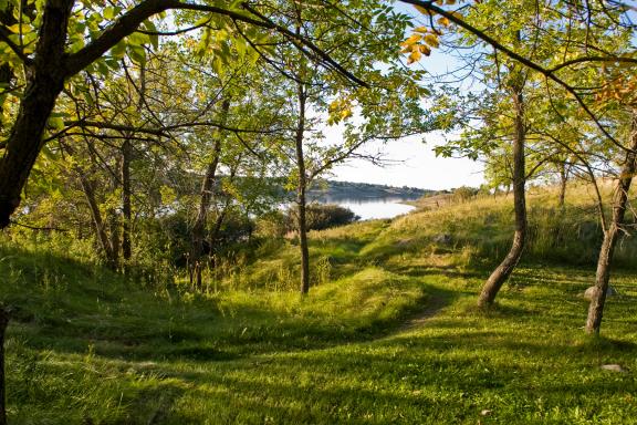 A grassy path leads through a wooded area to a view of a lake or reservoir