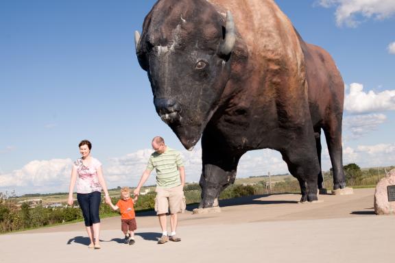 World's Largest buffalo