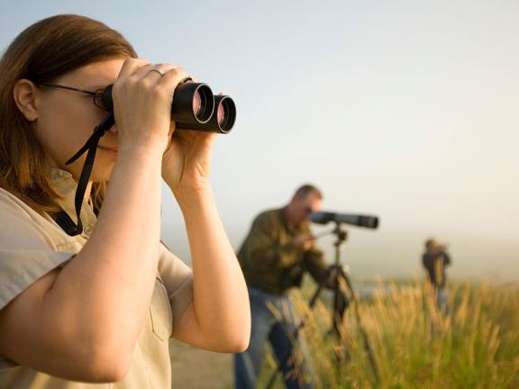 Viewing through binoculars