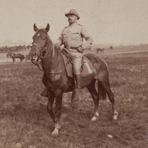 Rough Rider Teddy