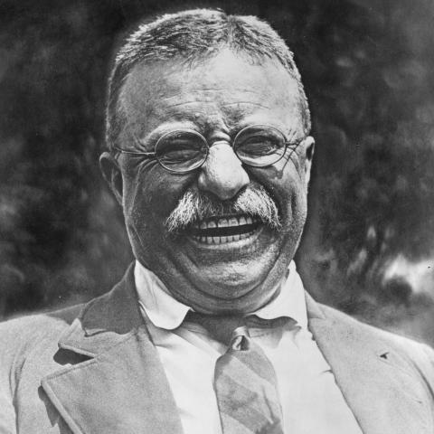 Teddy