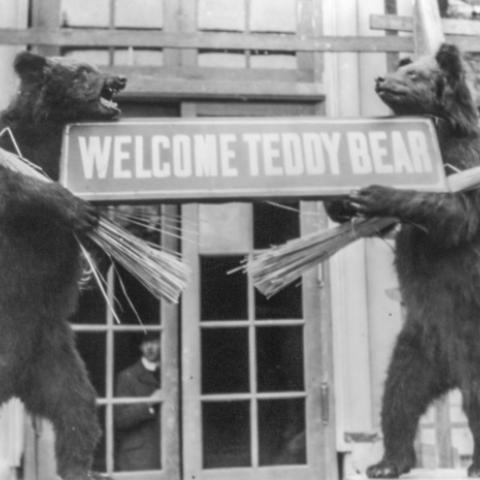 Teddy Bear