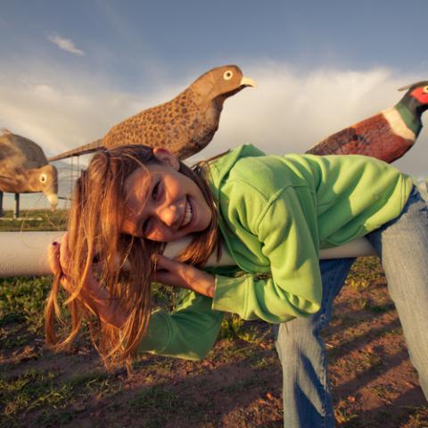enchanted highway
