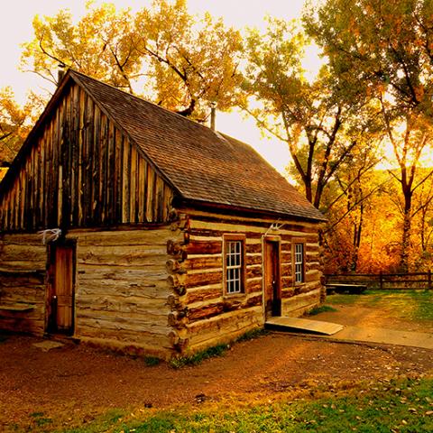 Theodore Roosevelts cabin