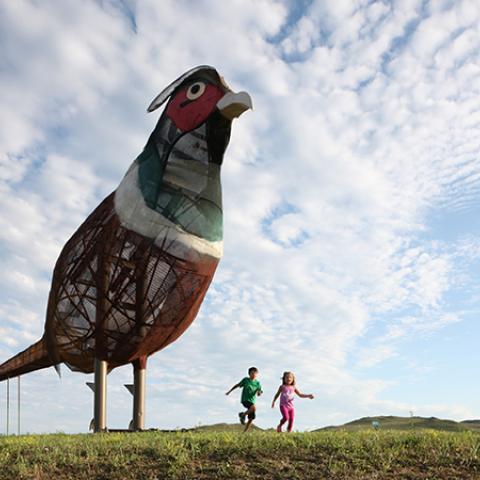 Enchanted Hwy pheasant