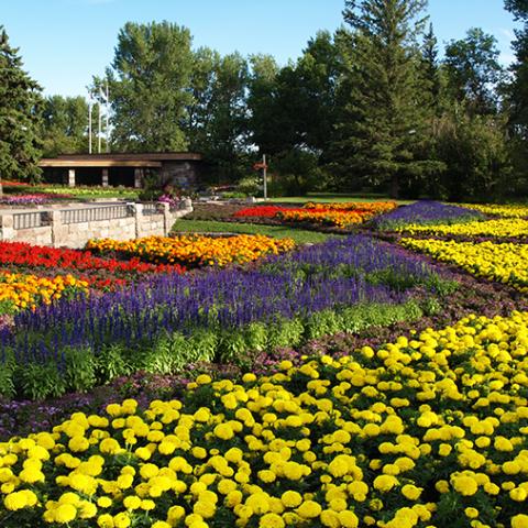 formal gardens