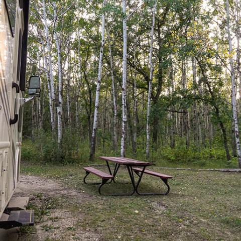 camping