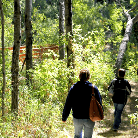 hiking