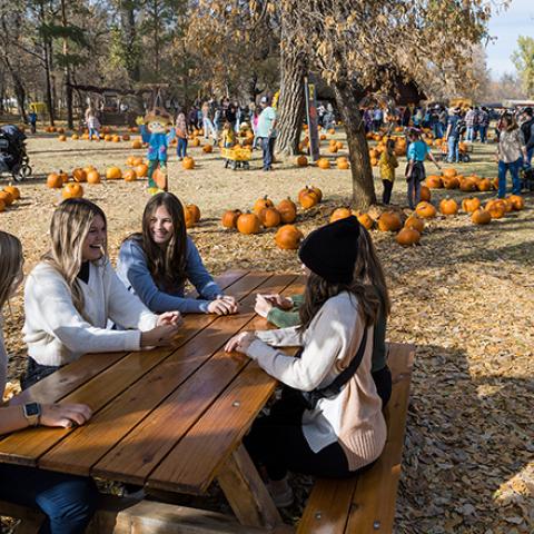 fun at the Pumpkin patch