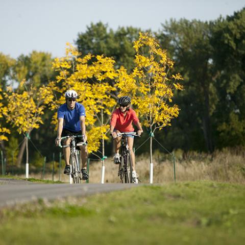 biking in the Greenway