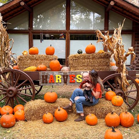 pumpkin patch fun