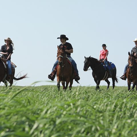 horseback riding