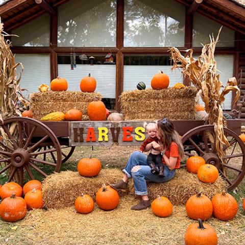 pumpkin patch