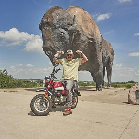 Worlds Largest Buffalo