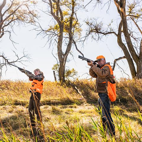 Fall Hunting