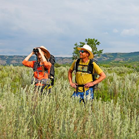Wildlife viewing