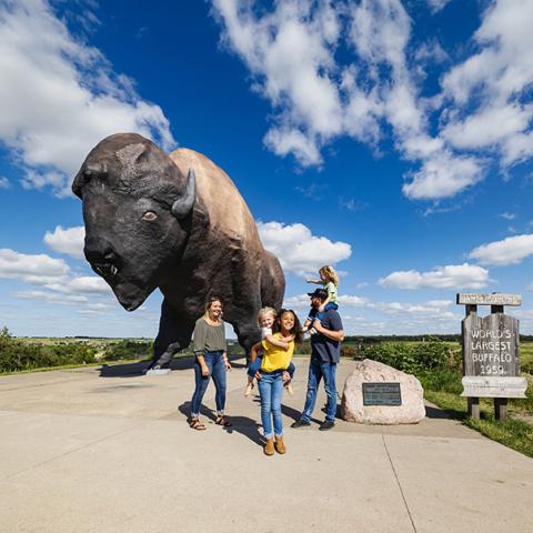 Worlds largest buffalo