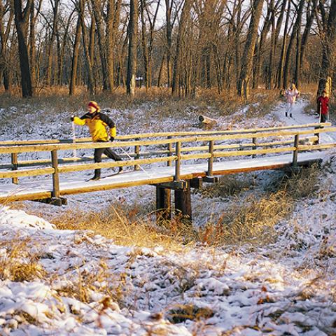Cross Country Skiing