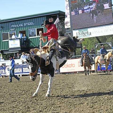 Mandan Rodeo