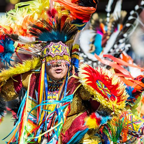 UTTC International Powwow dancer