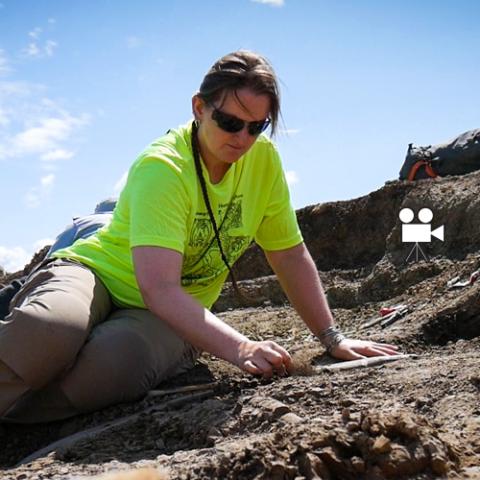 Meet a Paleontologist