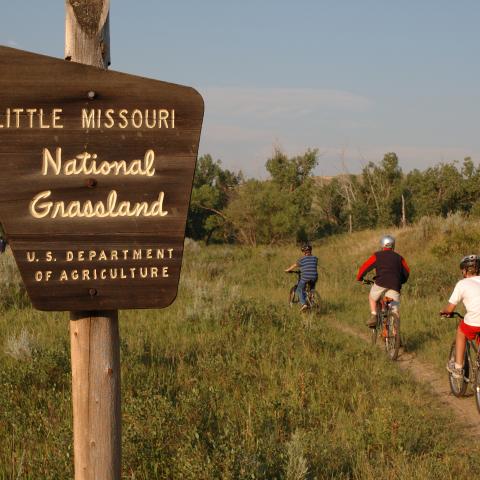 Little Missouri National Grasslands