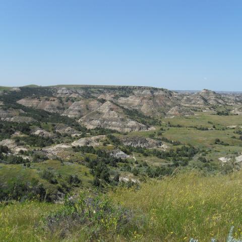 Theodore Roosevelt National Park