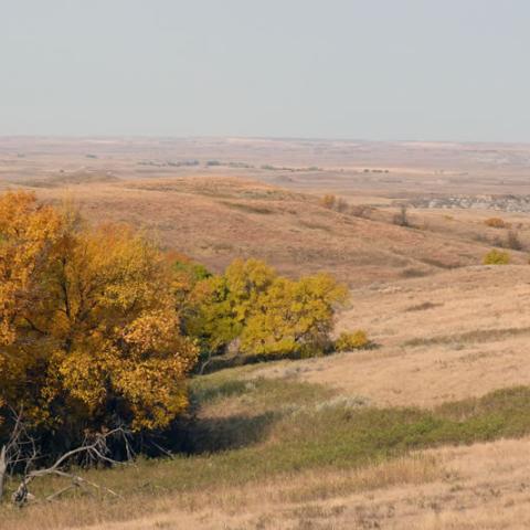 Cedar River National Grasslands