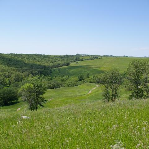Sheyenne National Grasslands