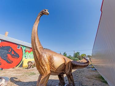 lost world dinosaur photo