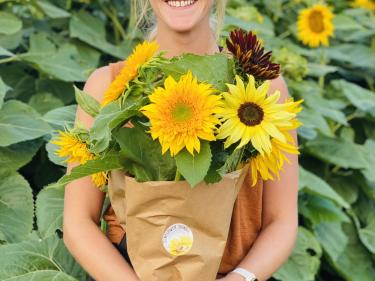 sunflower shindig at nelson's pumpkin patch photo