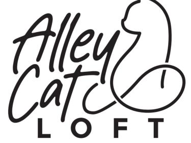 alley cat loft photo