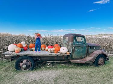 berry acres display photo