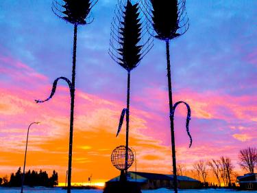 stunning sunset silhouettes three giant thistle sculptures against vibrant pink and orange sky, snowy winter landscape, public art installation. photo